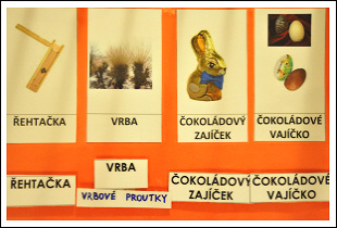 Rehtacka