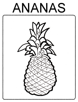 Ovoce - ananas