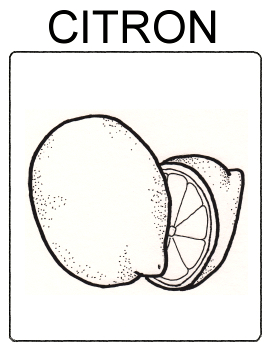 Ovoce - citron