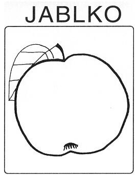 Ovoce - jablko