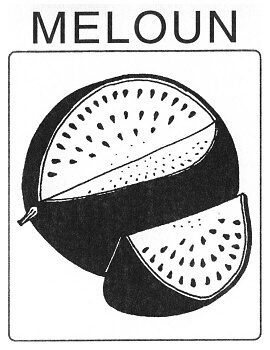 Ovoce - meloun