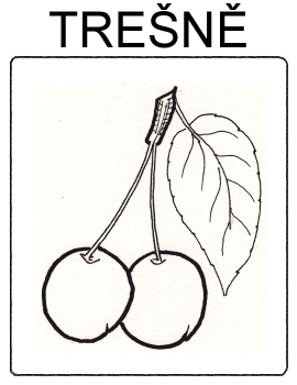 Ovoce - třešně