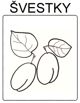 Ovoce - švestky