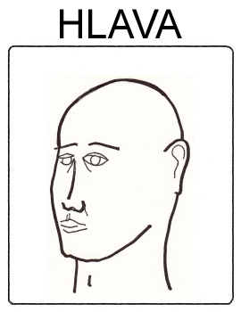 Části těla - hlava