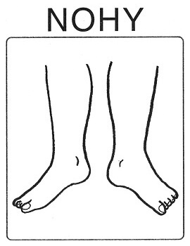 Části těla - nohy