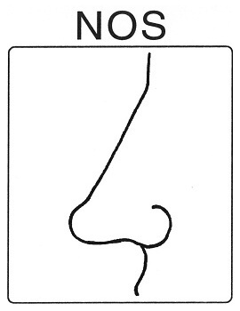 Části těla - nos