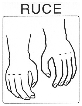 Části těla - ruce