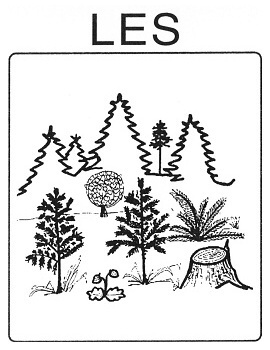 Příroda - les