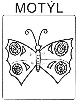 Příroda - motýl